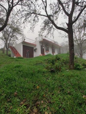 Kodai sakthi guest house